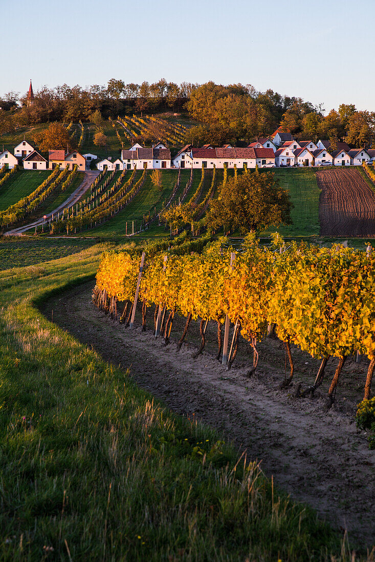 Wine cellars at Galgenberg of Wildendürnbach, Lower Austria, Europe