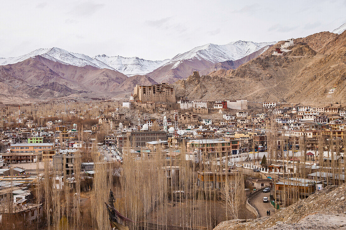 Ausblick auf die Stadt Leh in Ladakh, Indien, Asien
