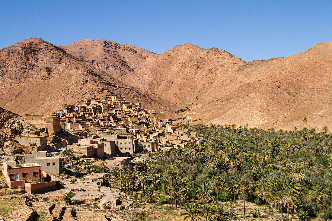 Oase in der Umgebung von Tafraoute, Marokko, Afrika