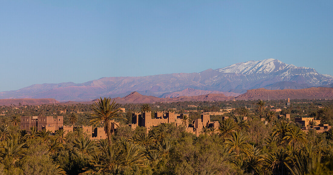 Oasis of Skoura, Morocco, Africa