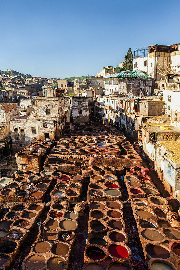 Leather tanning in Chouara Tannery in Fes, Morocco, Africa