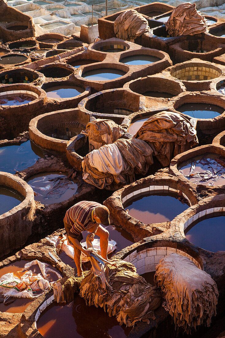 Leather tanning in Chouara Tannery in Fes, Morocco, Africa