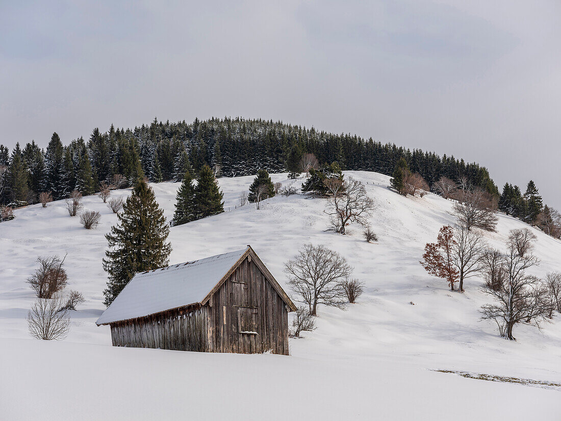 Winterlandschaft in den Ammergauer Alpen, Oberammergau, Oberbayern, Deutschland