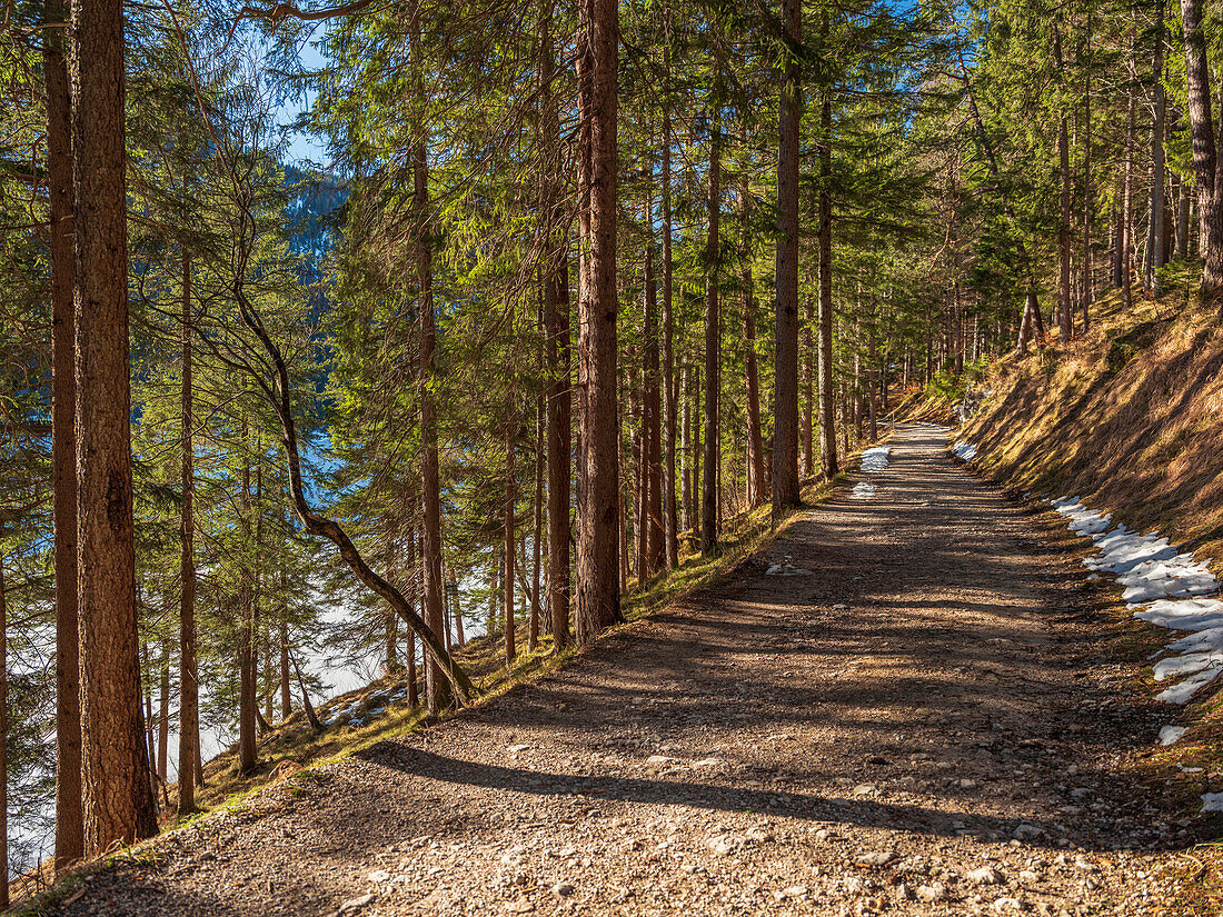 Lakeside path at the Eibsee on a sunny winter day, Eibsee, Upper Bavaria, Germany