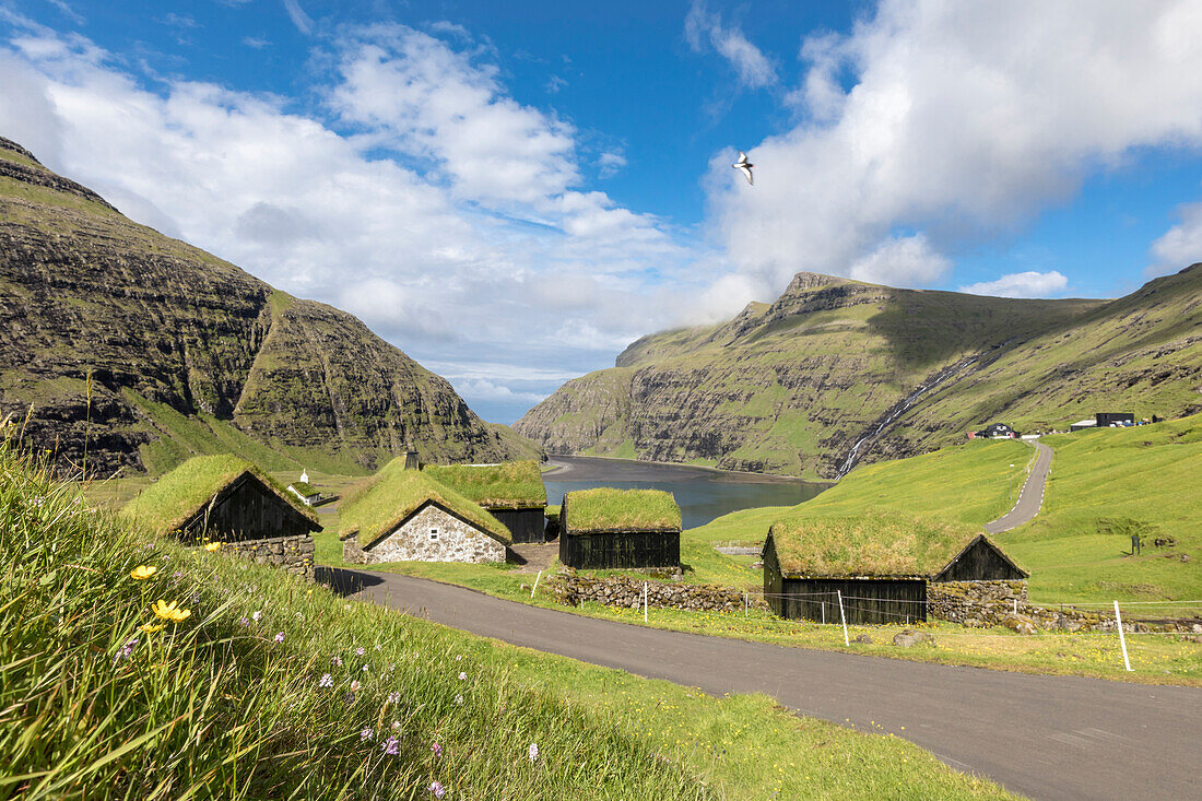 Typical grass roof (turf roof) houses, Saksun, Streymoy Island, Faroe Islands, Denmark, Europe
