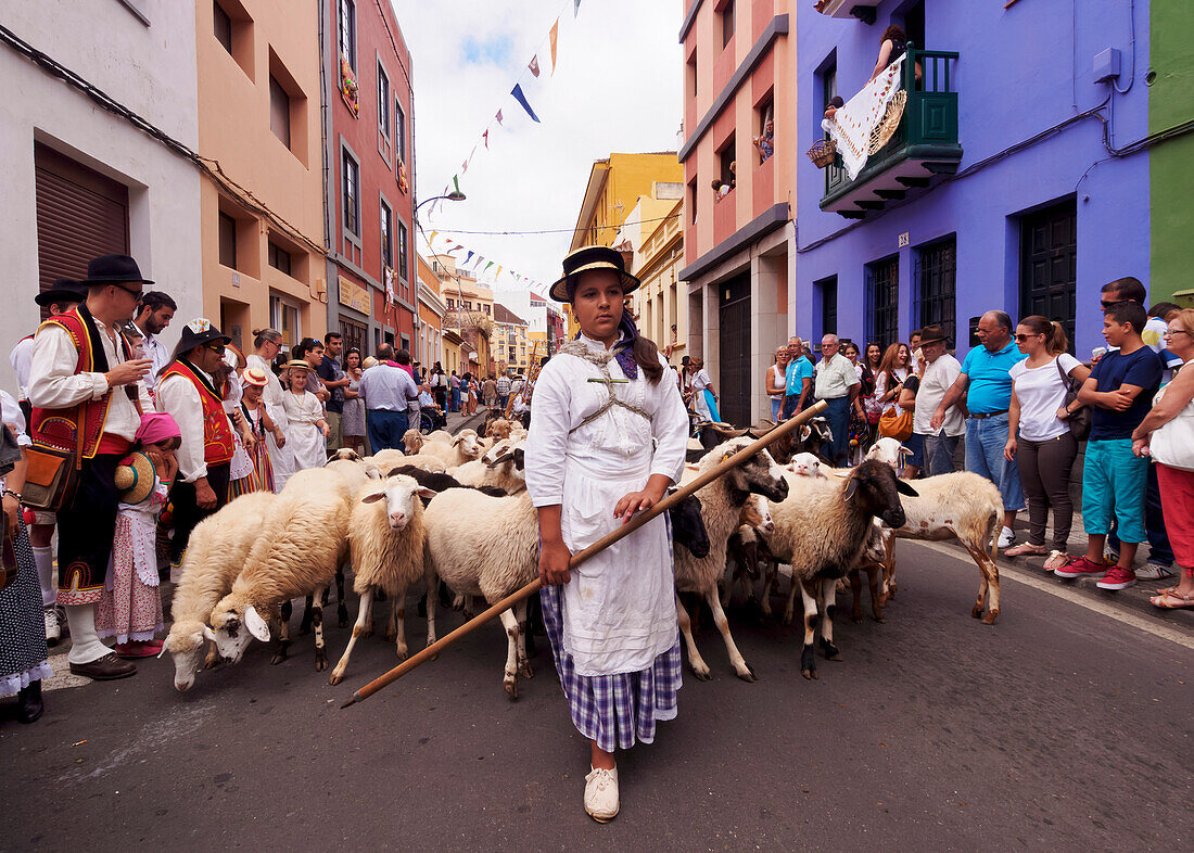 Woman with sheep, Romeria de San Benito de Abad, traditional street party, San Cristobal de La Laguna, Tenerife Island, Canary Islands, Spain, Europe