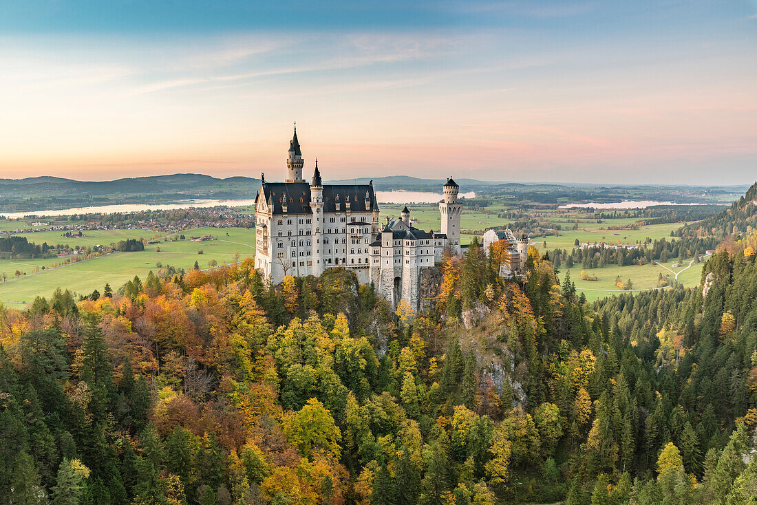 Neuschwanstein Castle surrounded by coloured fir trees at sunset, Schwangau, Schwaben, Bavaria, Germany, Europe