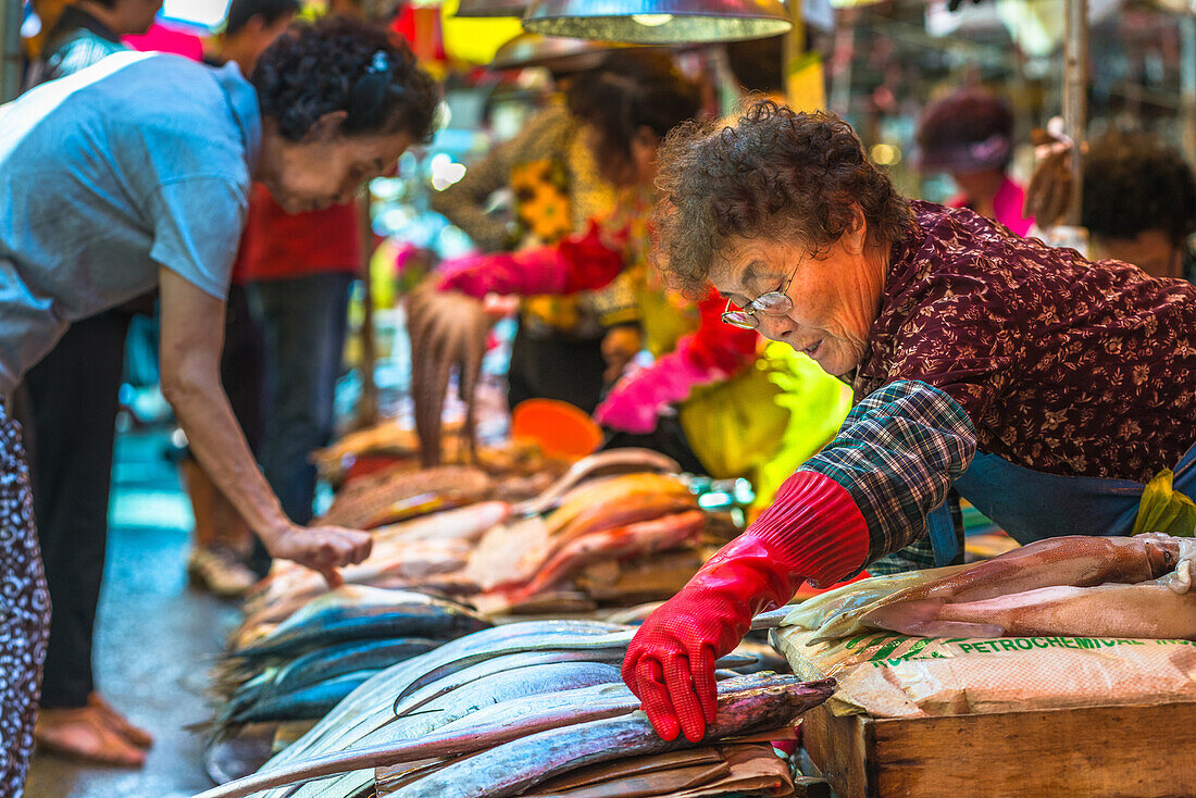 Fish for sale at Jagalchi fish market, Busan, South Korea, Asia