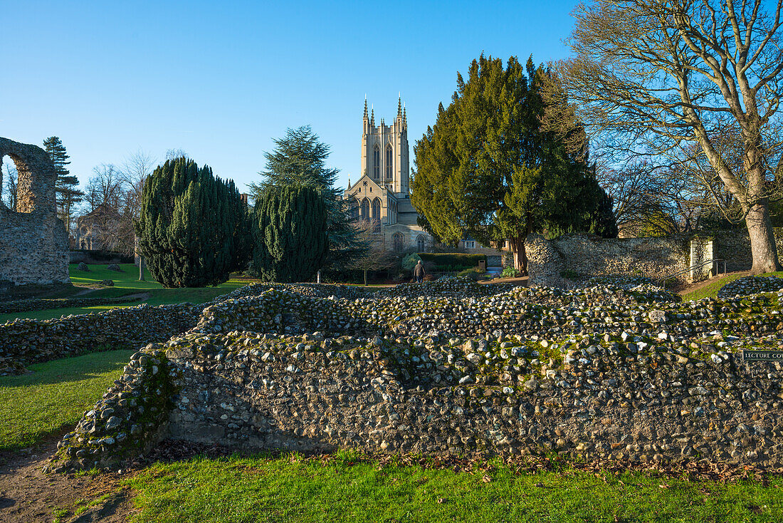 Ruins of the Abbey of Bury St. Edmunds, historic Benedictine monastery, with St. Edmundsbury Cathedral, Bury St. Edmunds, Suffolk, England, United Kingdom, Europe