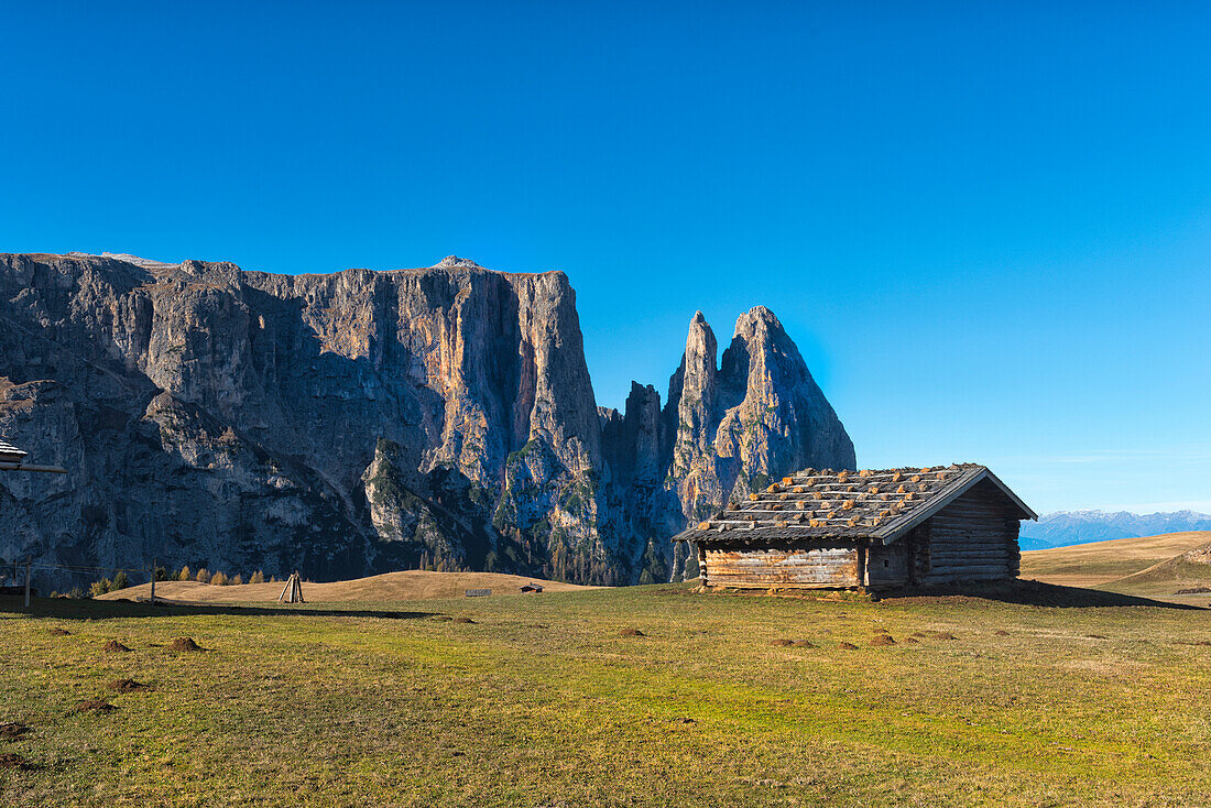 Alm (mountain hut) in the fields, Alpe di Siusi, Trentino, Italy, Europe