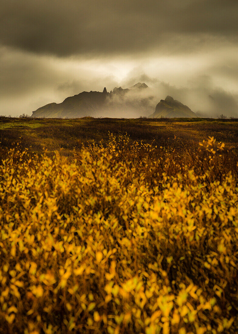 Misty mountain scene, near Vik, Southern Iceland, Polar Regions