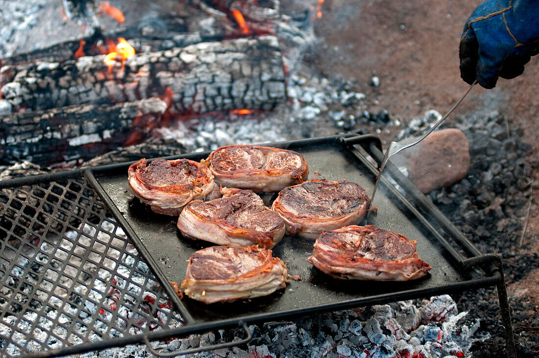 Typisch australisches Grillen auf der Schafstation Angorichina, Flinders Ranges, Südaustralien, Australien