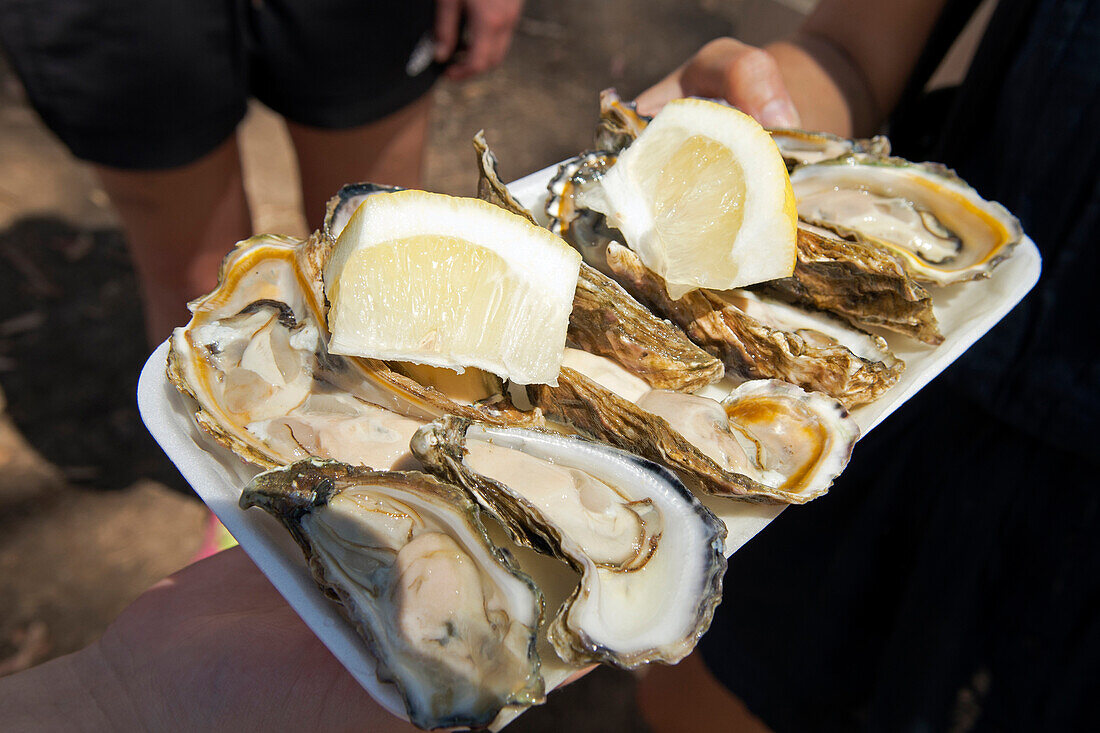Fresh oysters at the Porongurup Wine Festival
