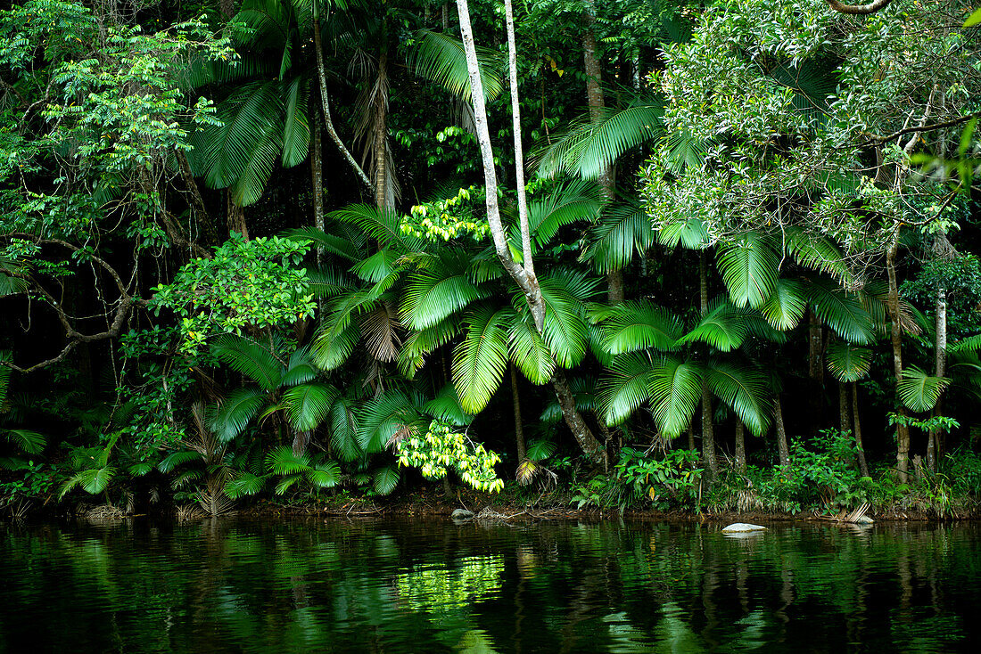 Ein Abschnitt des Mossman Rivers gehört zur Lodge, Silky Oaks Lodge, Queensland, Australien