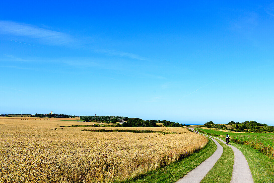 Bike paths lead through fields to the lighthouses of Cape Arkona, Ruegen, Ostseekueste, Mecklenburg-Vorpommern, Germany