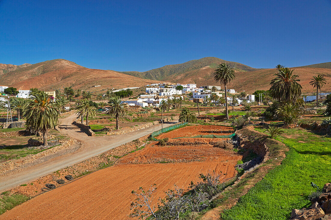Dorf Toto bei Pájara, Fuerteventura, Kanaren, Kanarische Inseln, Islas Canarias, Atlantik, Spanien, Europa