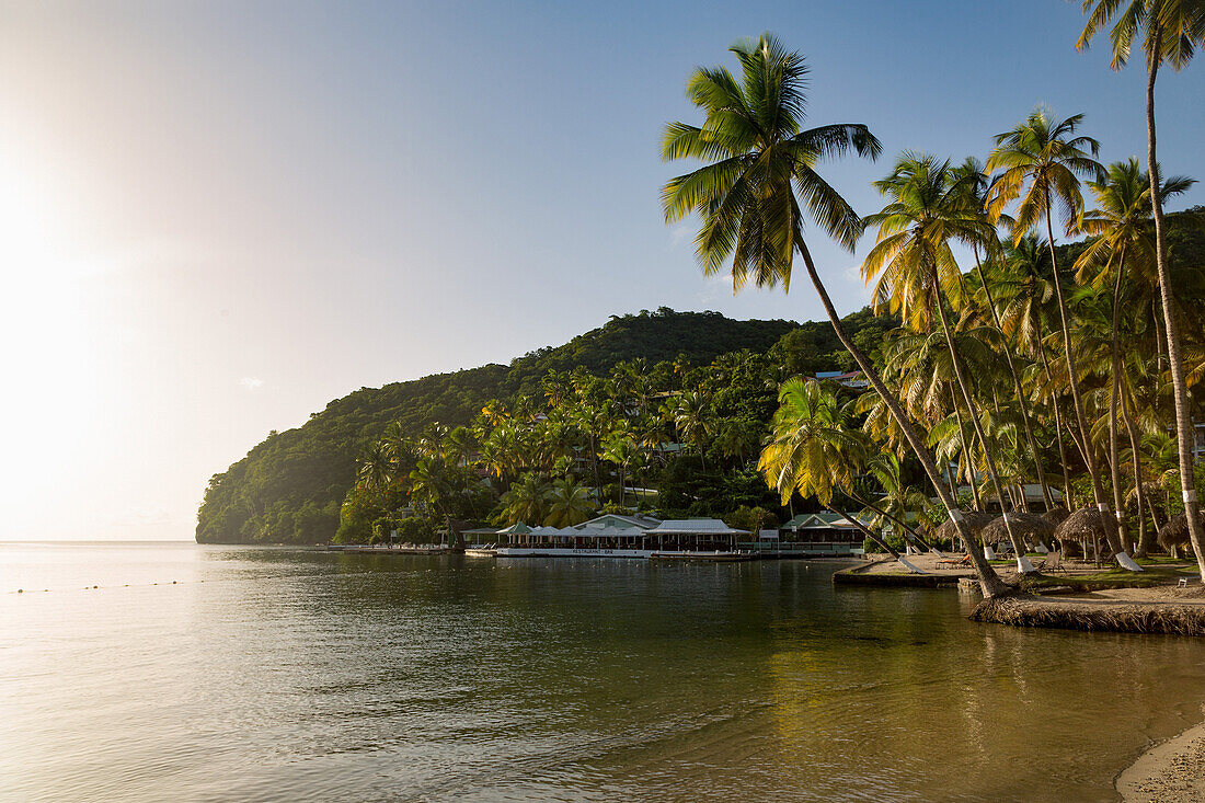 Tall palms on the small beach at Marigot Bay, St. Lucia, Windward Islands, West Indies Caribbean, Central America
