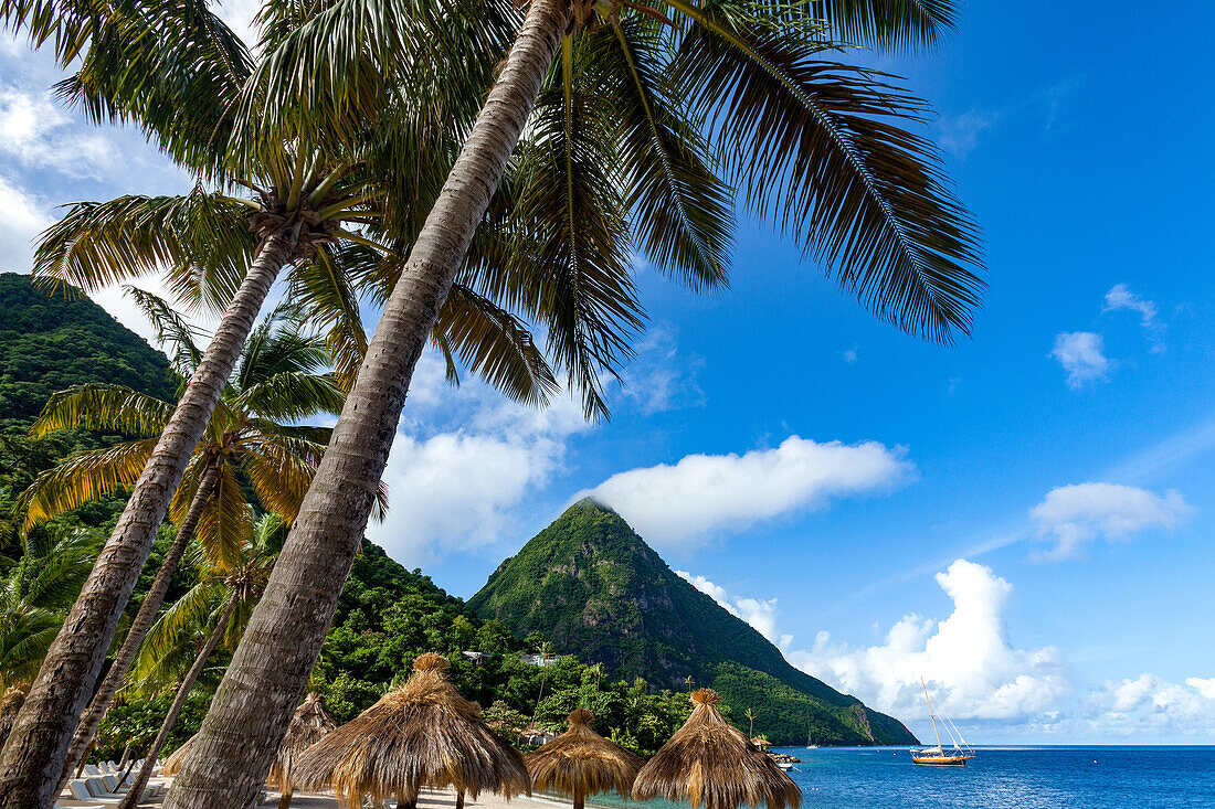 Gros Piton, with palm trees and thatched sun umbrellas, Sugar Beach, St. Lucia, Windward Islands, West Indies Caribbean, Central America