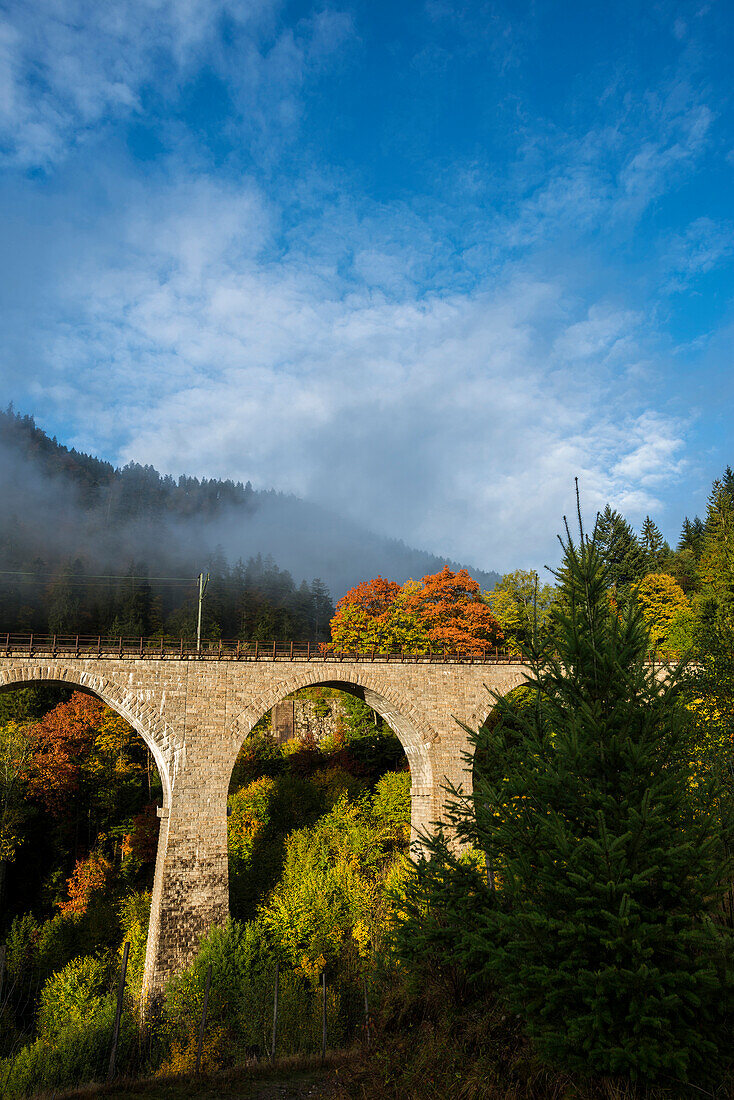 Eisenbahnbrücke in der Ravennaschlucht, Höllental im Herbst, bei Freiburg im Breisgau, Schwarzwald, Baden-Württemberg, Deutschland