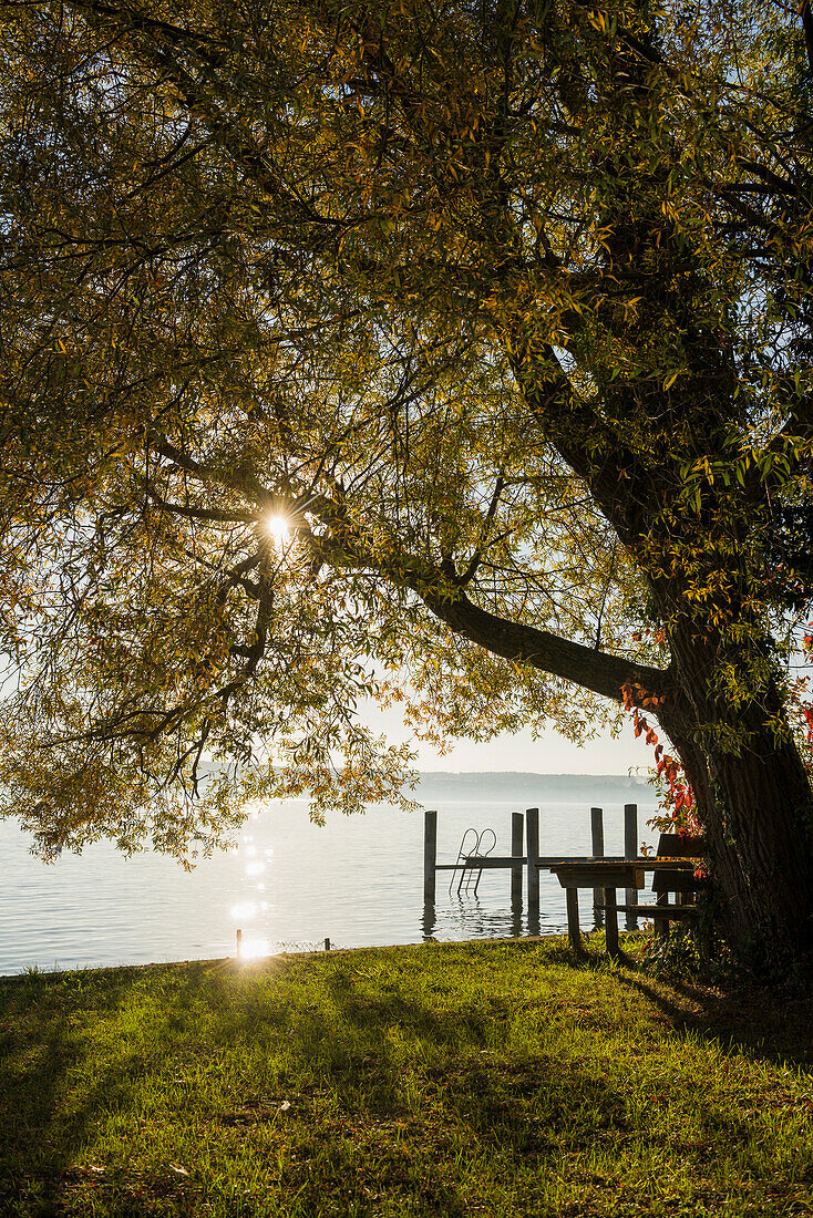 Lake Constance in autumn, Uhldingen-Mühlhofen, Baden-Württemberg, Germany