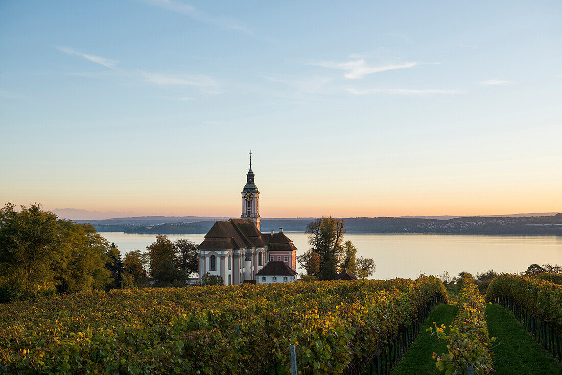 Wallfahrtskirche Birnau mit Weinbergen im Herbst bei Sonnenuntergang, Uhldingen-Mühlhofen, Bodensee, Baden-Württemberg, Deutschland