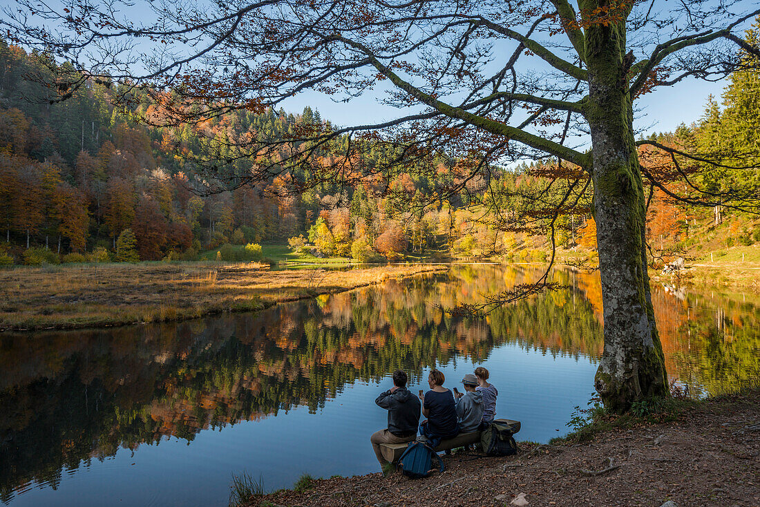 Lake with autumnal forest, water reflection, Nonnenmattweiher, Neuenweg, Black Forest, Baden-Württemberg, Germany