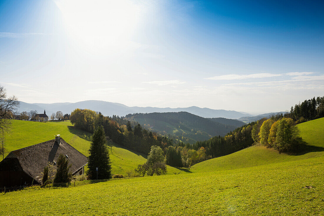 Ausblick auf hügelige Landschaft, bei St Peter, Schwarzwald, Baden-Württemberg, Deutschland