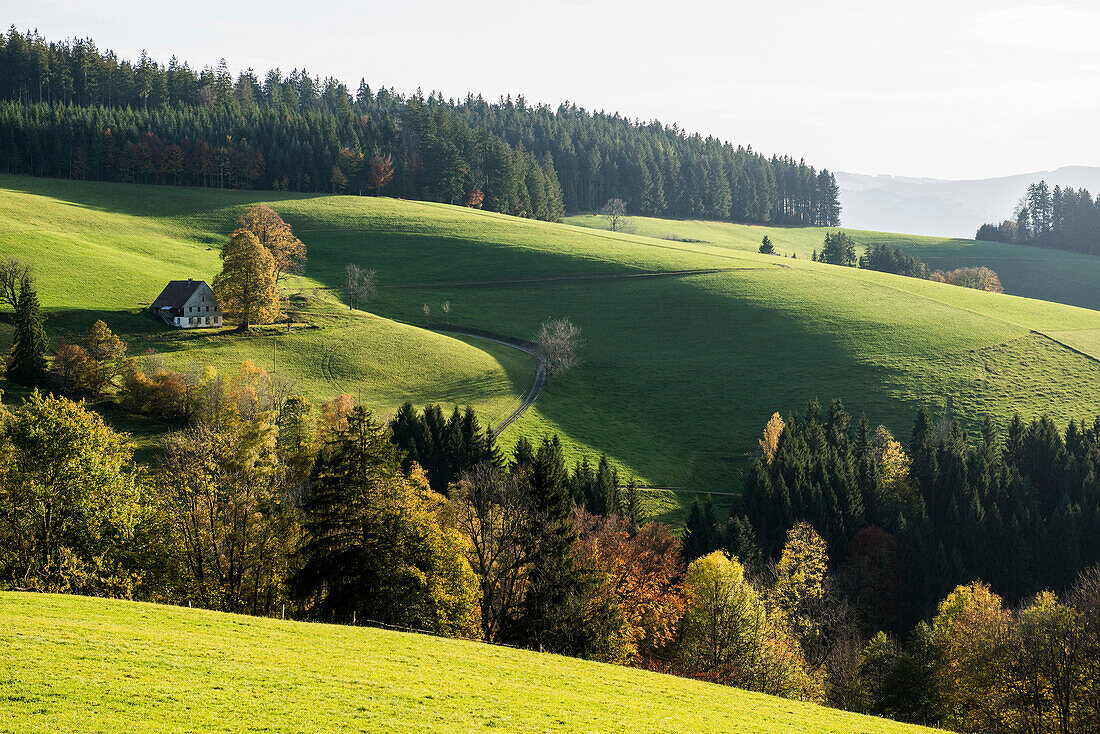 View of hilly landscape,  near St Märgen, Black Forest, Baden-Württemberg, Germany