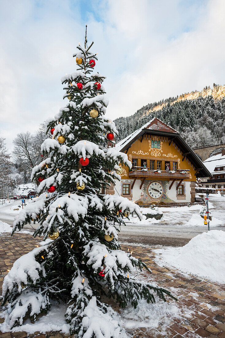 Ravennaschlucht im Winter, Höllental bei Freiburg im Breisgau, Schwarzwald, Baden-Württemberg, Deutschland