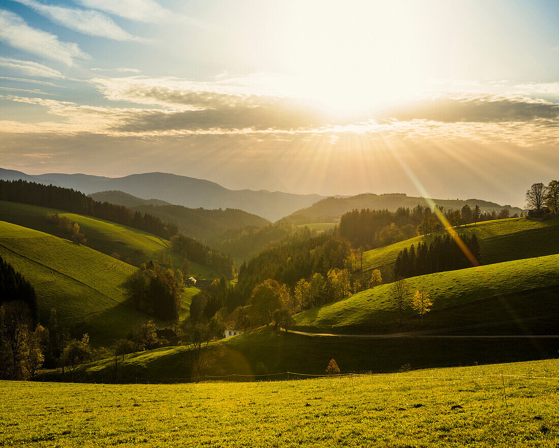 Ausblick auf hügelige Landschaft, Abendlicht, bei St Märgen, Schwarzwald, Baden-Württemberg, Deutschland