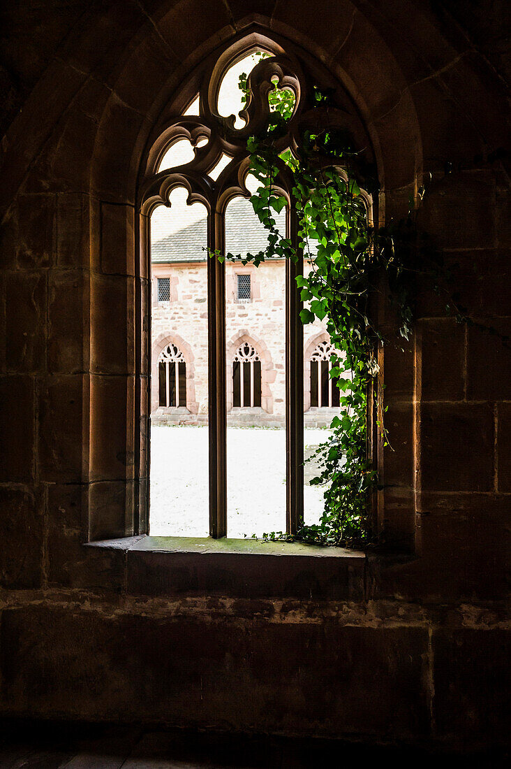 Monastery church, Alpirsbach, Black Forest, Baden-Wuerttemberg, Germany