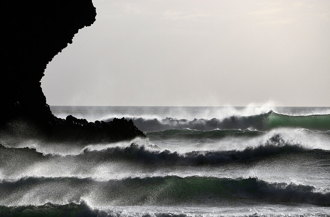 At the Beach of Piha in the Waitakere, near Auckland, North Island, New Zealand