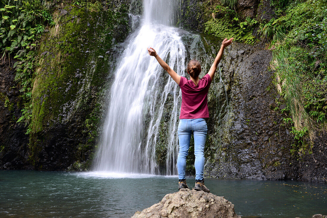 in the jungle of Piha in the Waitakere, near Auckland, North Island, New Zealand