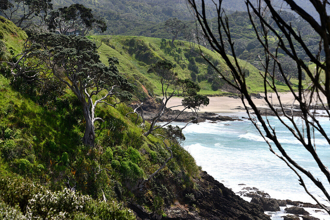 Taupiri Bay near Russe, North Island, New Zealand