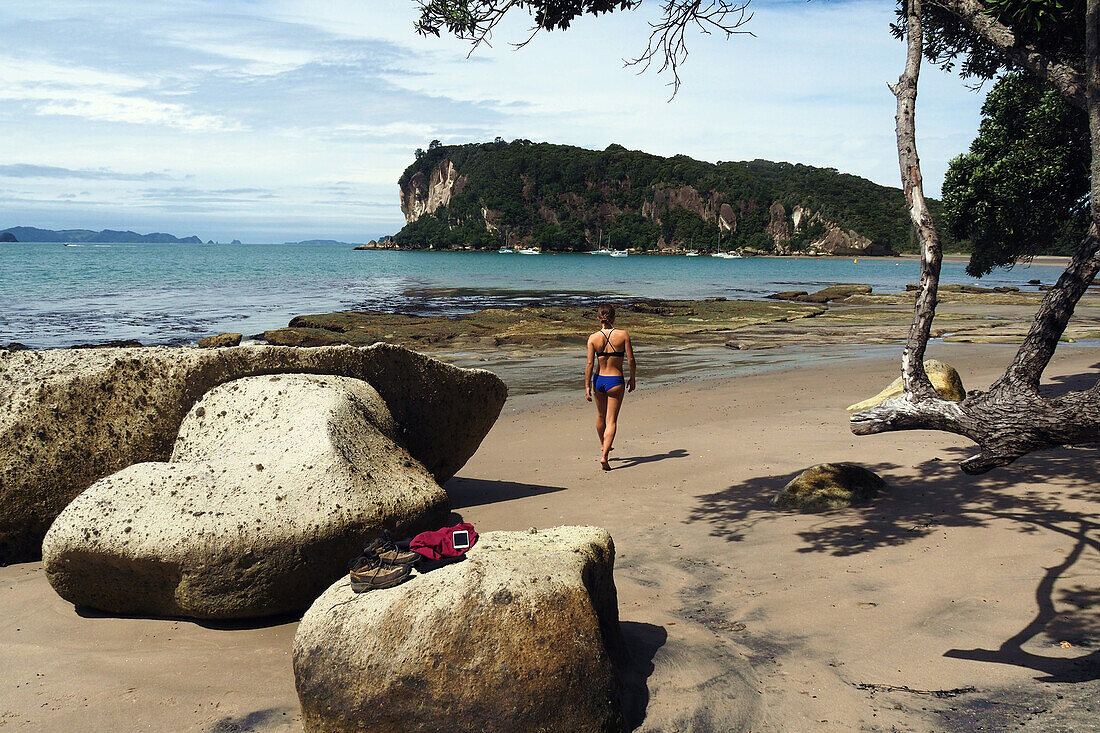 am Cooks Bay auf der Halbinsel Coromandel, Nordinsel, Neuseeland