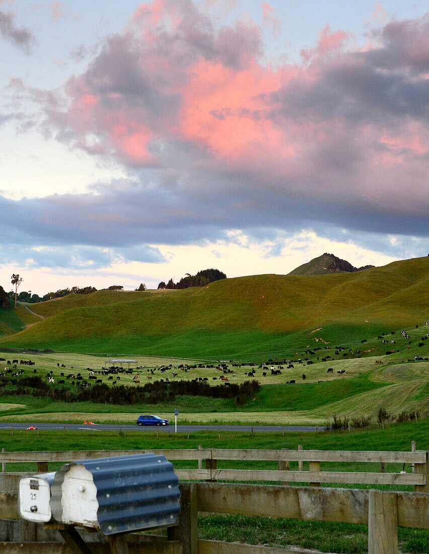 Landschaft bei Rotorua, Nordinsel, Neuseeland