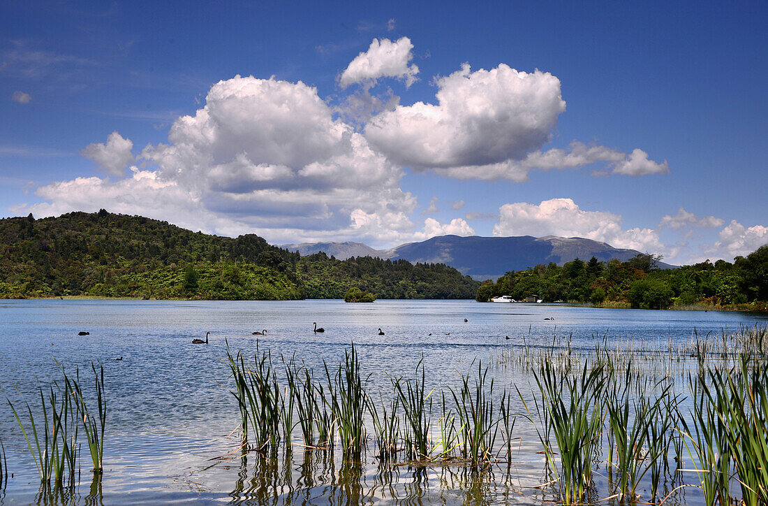 At lake Tarawera near Rotorua, North Island, New Zealand