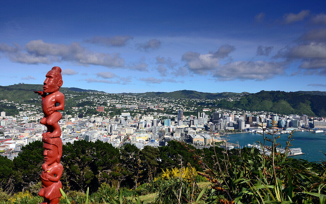 Blick vom Mount Victoria auf Wellington, Nordinsel, Neuseeland