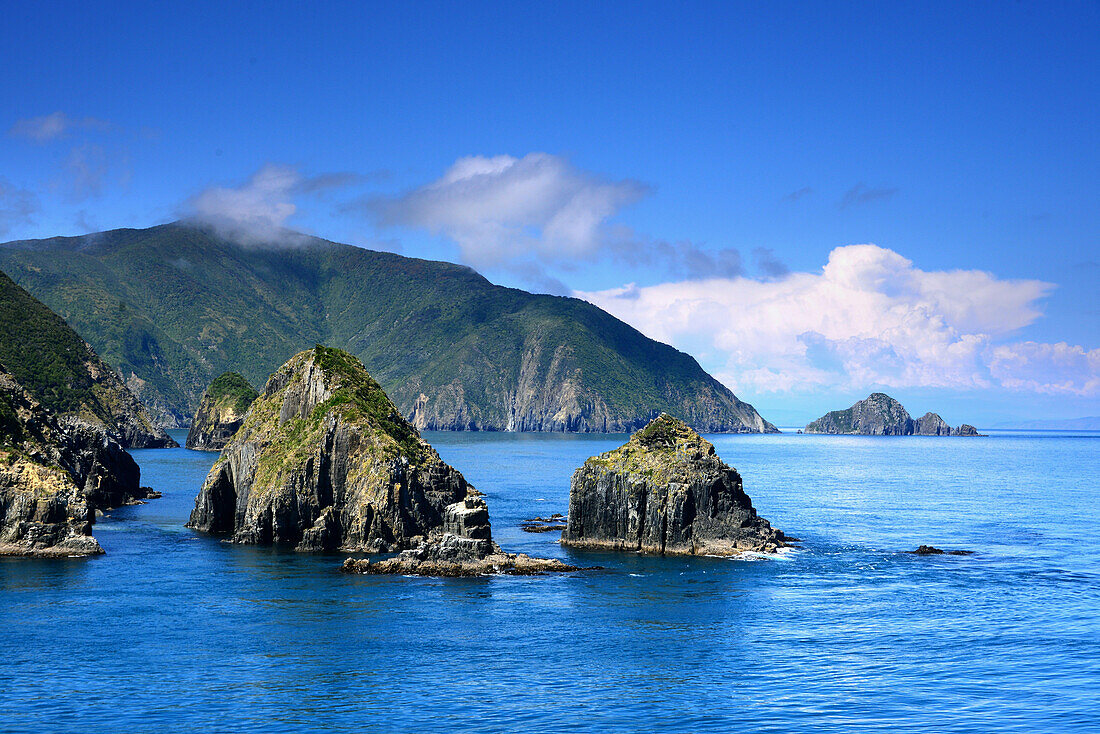 Queen Charlotte Sound, Marlborough Sounds, South Island, New Zealand