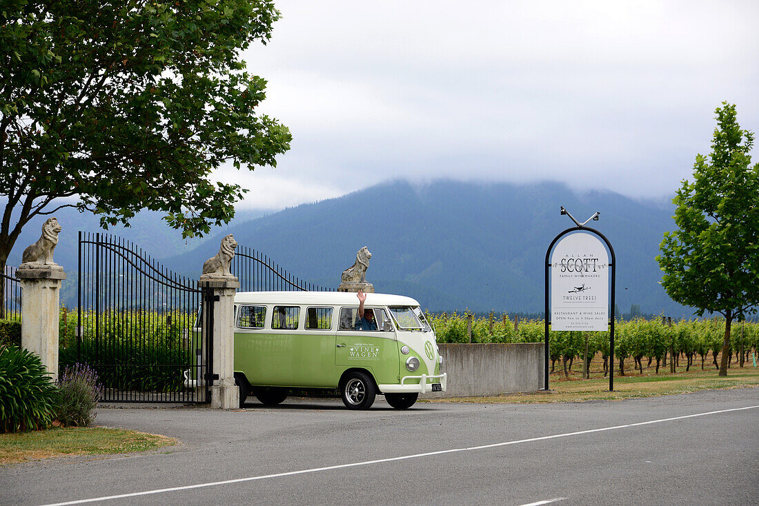 scott Winery, Sauvignon Blanc wine in Wairau Valley, South Island, New Zealand