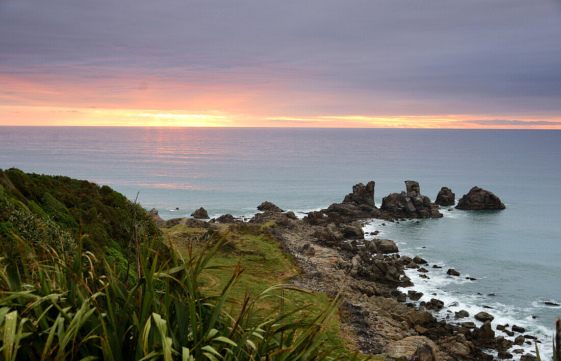 Cape Foulwind bei Westport, Westküste, Südinsel, Neuseeland
