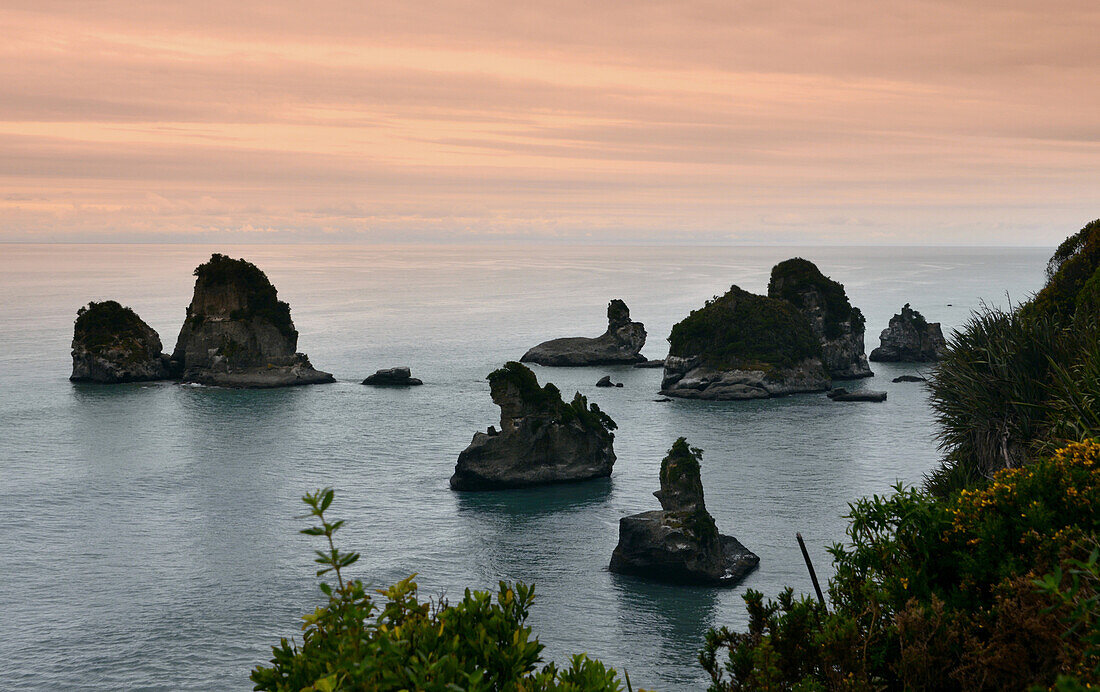 Westcoast near Punakaiki, Westcoast, South Island, New Zealand