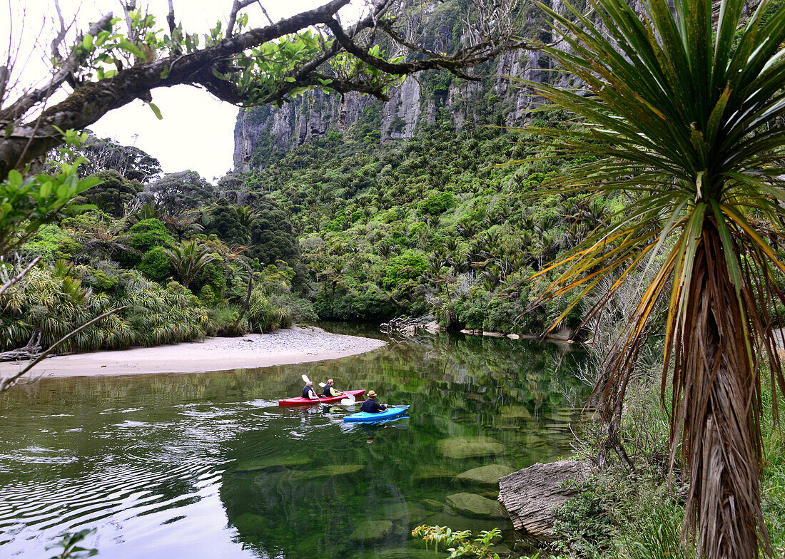 Punakaiki Canoes am Pororari River, Paparoa NationalPark, Westküste, Südinsel, Neuseeland