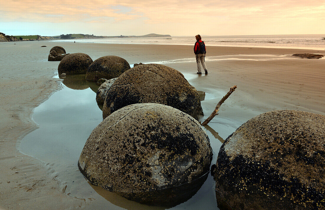 Boulders am Strand von Moeraki an der Ostküste, Südinsel, Neuseeland