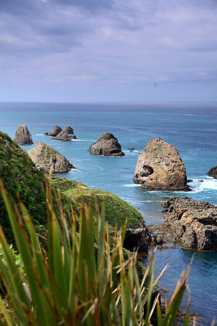 At Nugget Point, Catlins, Eastcoast, South Island, New Zealand