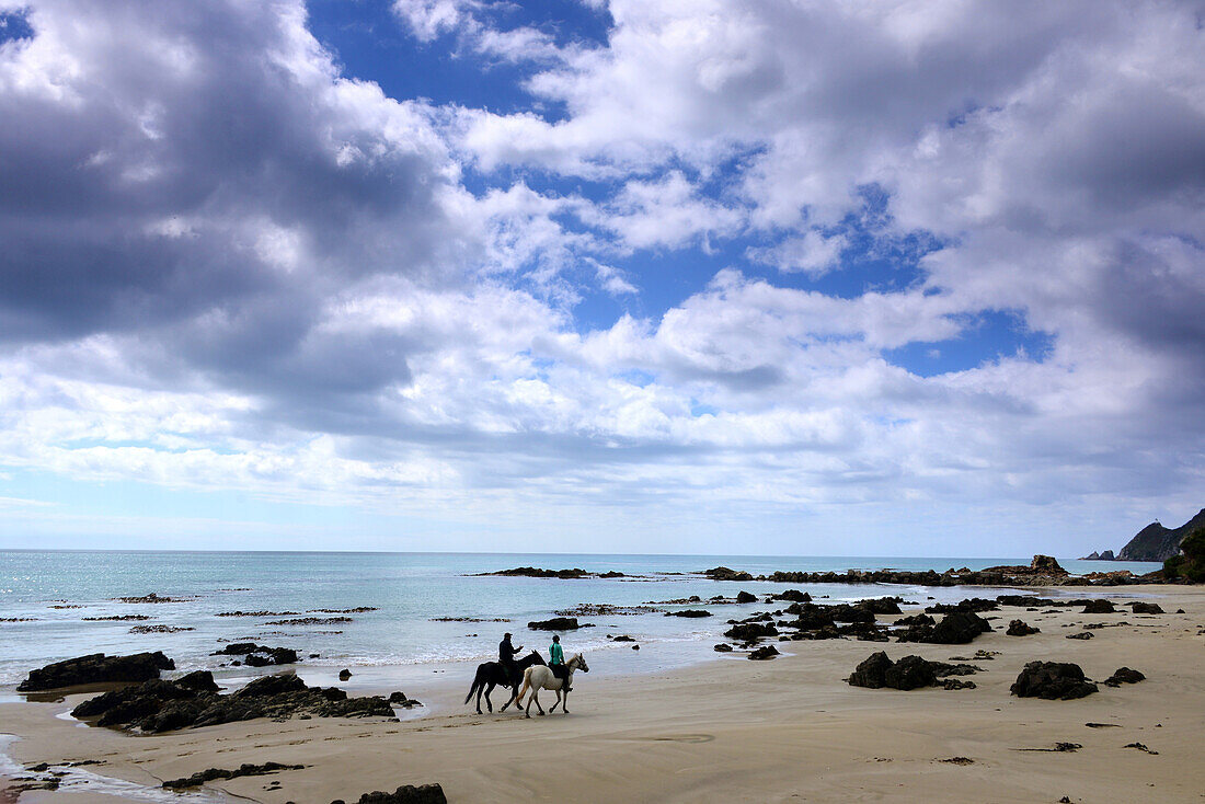 At Nugget Point, Catlins, Eastcoast, South Island, New Zealand