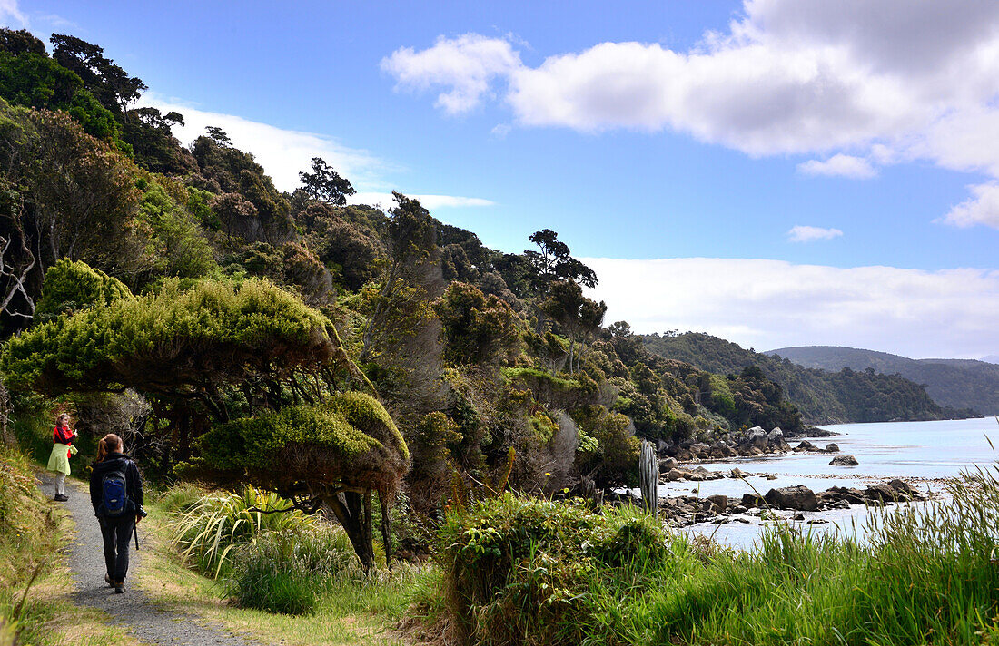Track bei Port William, Nordküste Stewart Island, Neuseeland