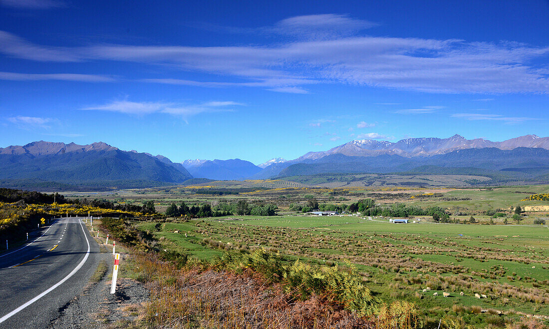 Landscape near Te Anau, South Island, New Zealand