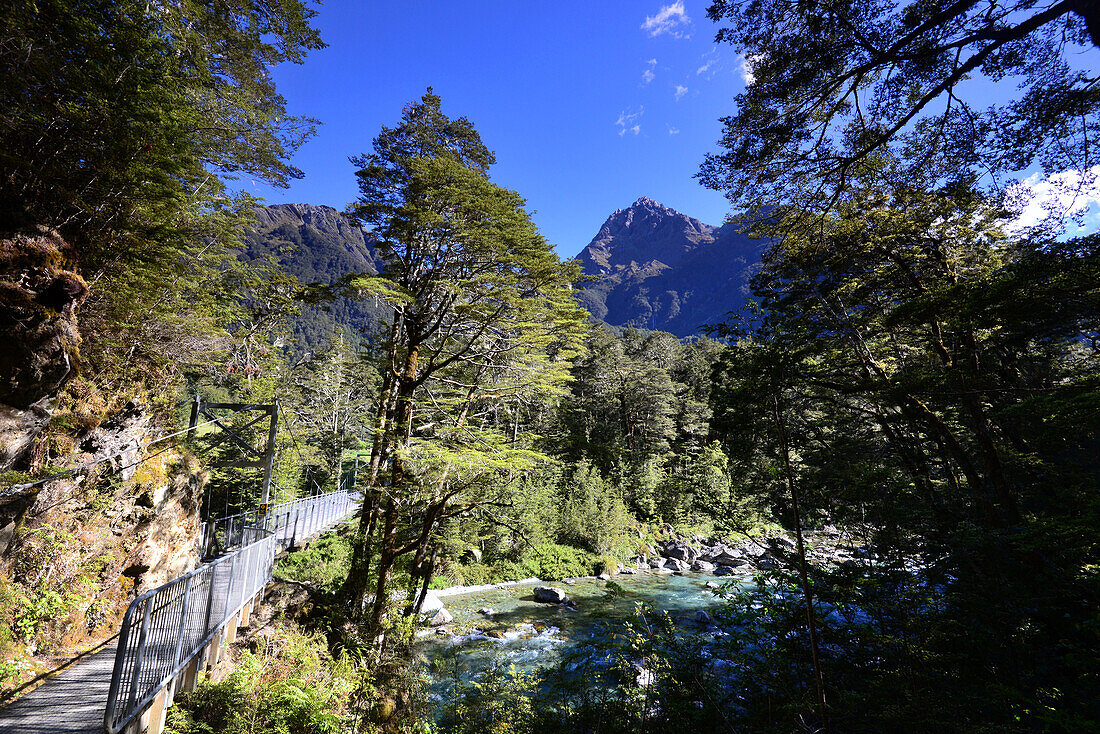 Routeburn Track bei Glenorchy, Südinsel, Neuseeland