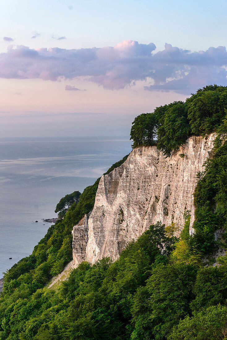 Chalk cliffs, Rügen, Baltic Sea coast, Mecklenburg-Vorpommern, Germany